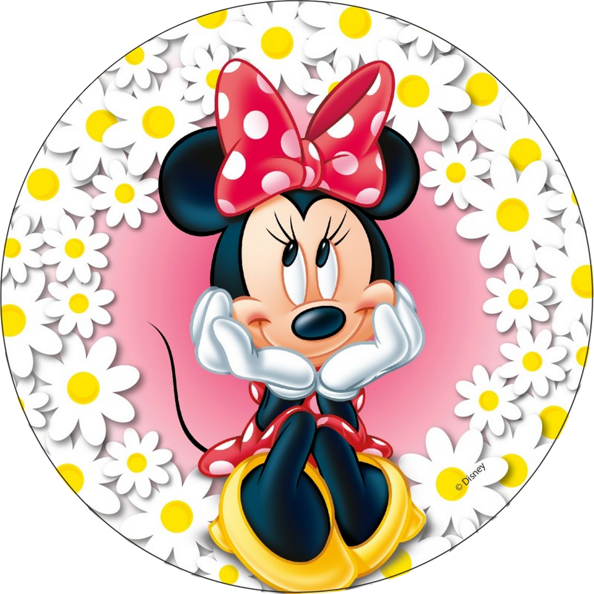 DECOGATO R004 Photo en azyme comestible Diamètre 20cm thème Minnie Mouse pour décoration des gâteaux d'anniversaires